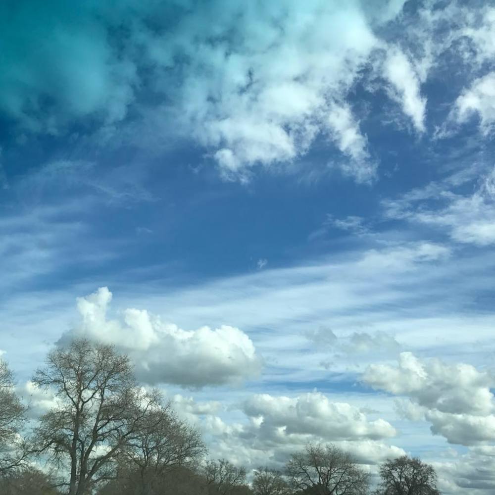 Meet your Posher, Angie